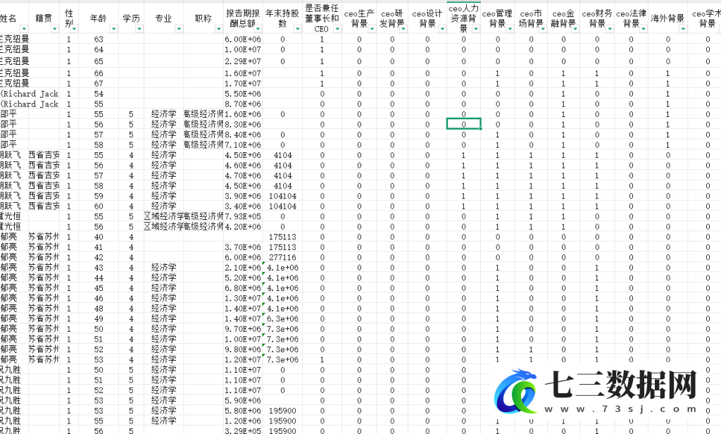 2005-2024年CEO特征数据CEO基本信息数据-七三数据网